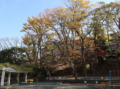 【公園】御幣公園まで369ｍ