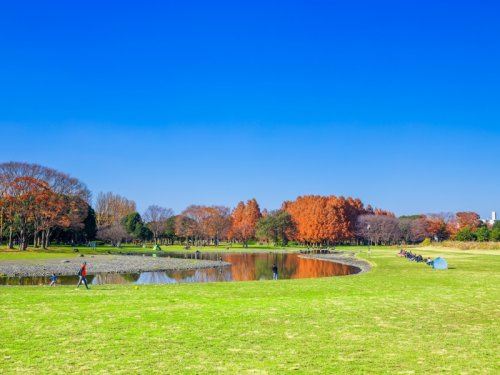 【公園】水元公園まで309ｍ