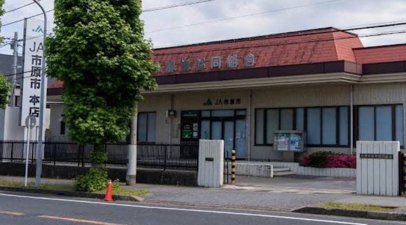 【銀行】JA市原市本店まで282ｍ