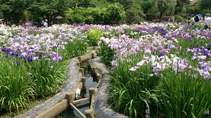 【公園】堀切菖蒲園まで747ｍ