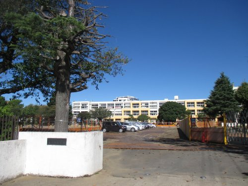 【小学校】ひたちなか市立東石川小学校まで1313ｍ