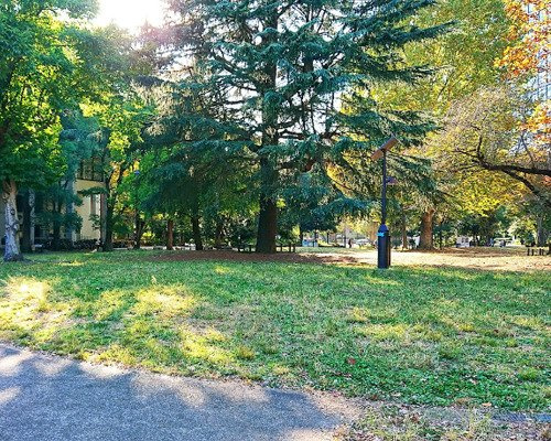 【公園】戸山公園　芝生広場まで329ｍ