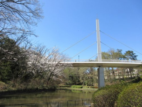 【公園】千年谷公園まで540ｍ