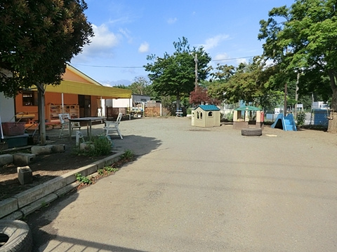 【幼稚園】よつば体育幼児園まで1293ｍ