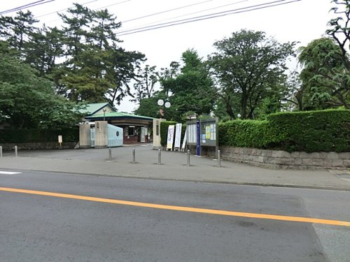 【幼稚園】相模女子大学幼稚部まで500ｍ