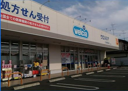 【ドラッグストア】ウエルシア　小山神鳥谷店まで731ｍ