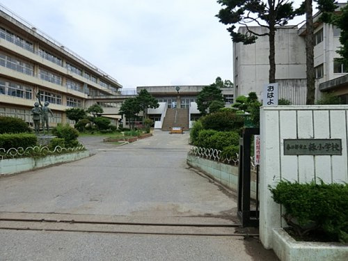 【小学校】春日部市立緑小学校まで599ｍ