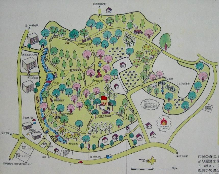 【その他】飯島市民の森まで663ｍ
