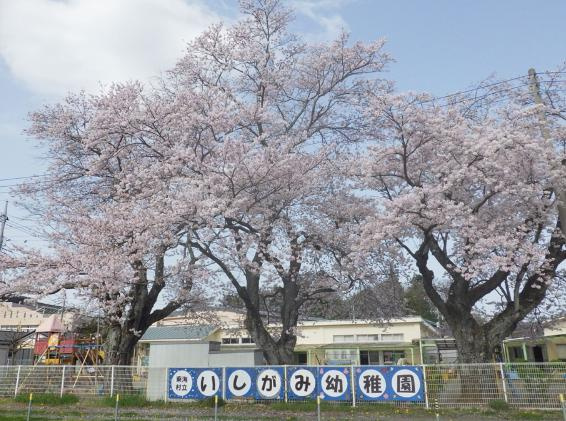 【幼稚園】石神幼稚園まで2166ｍ