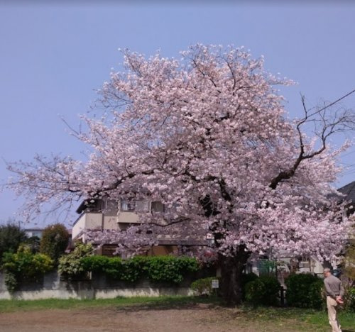 【公園】小門公園まで393ｍ