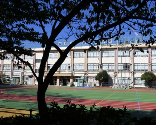 【小学校】豊島区立豊成小学校まで248ｍ