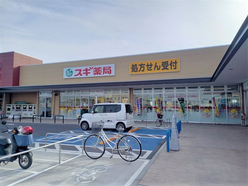 【ドラッグストア】スギドラッグ　古河大堤店まで730ｍ