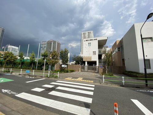 【小学校】港区立港南小学校まで251ｍ