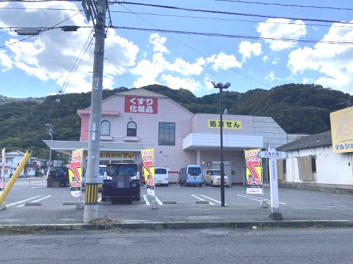 【ドラッグストア】ププレひまわり　江南店まで397ｍ