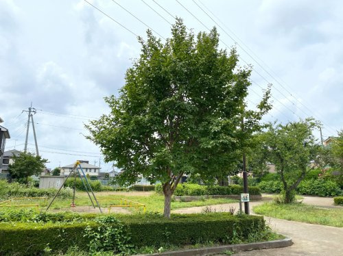 【公園】チクタク公園まで650ｍ