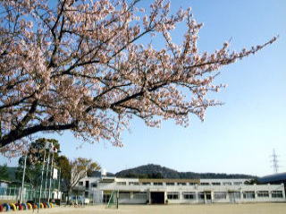 【小学校】豊橋市立谷川小学校まで2022ｍ