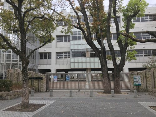 【小学校】尼崎市立難波の梅小学校まで582ｍ