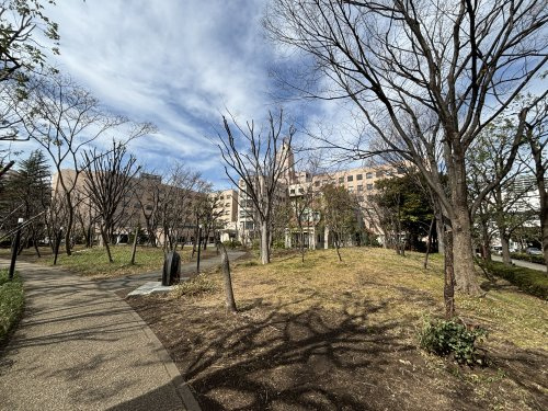 【大学】聖路加国際大学まで917ｍ