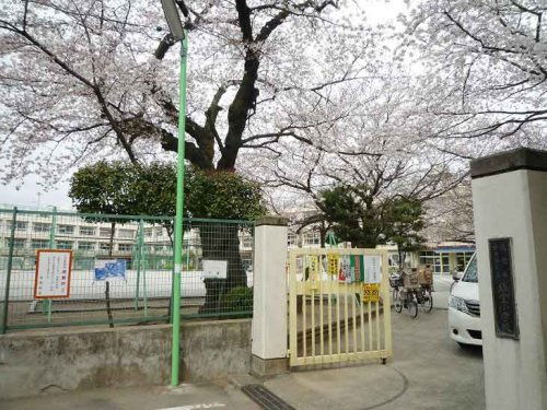 【小学校】世田谷区立経堂小学校まで557ｍ