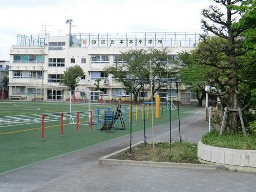 【小学校】目黒区立五本木小学校まで260ｍ