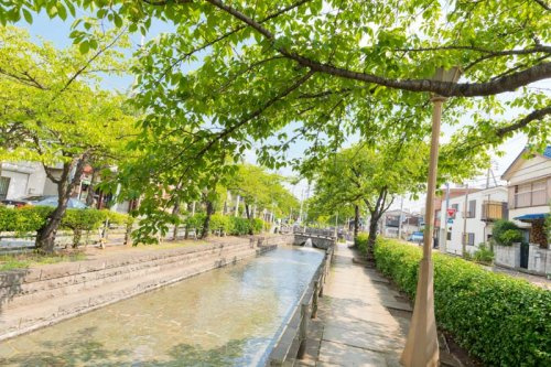 【公園】曳舟川親水公園まで274ｍ