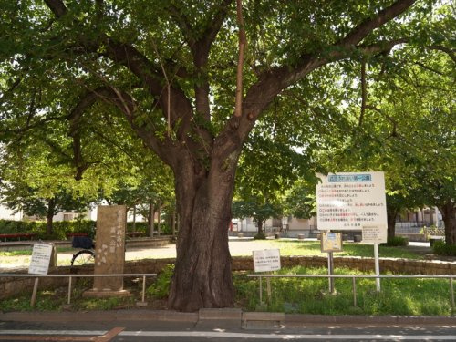【公園】西原ふれあい第一公園まで300ｍ