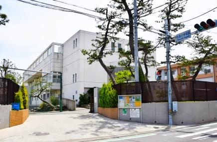【小学校】茅ヶ崎市立松浪小学校まで507ｍ