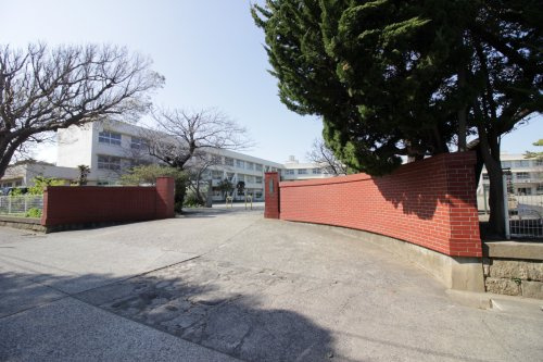 【小学校】三崎小学校まで785ｍ