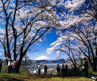 【公園】弘法山公園まで2751ｍ