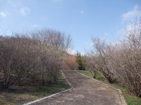 【公園】愛名緑地まで1247ｍ