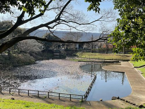 【公園】谷戸岡公園まで1124ｍ
