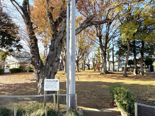 【公園】江戸川台4号公園まで120ｍ