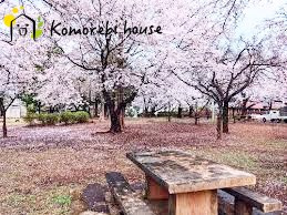 【公園】八幡公園まで1149ｍ