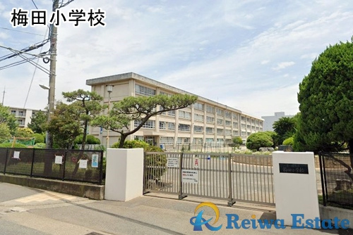 【小学校】茅ヶ崎市立梅田小学校まで1000ｍ