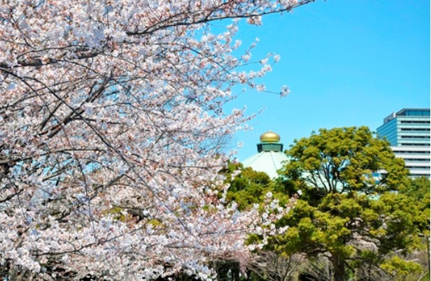 【公園】北の丸公園まで985ｍ