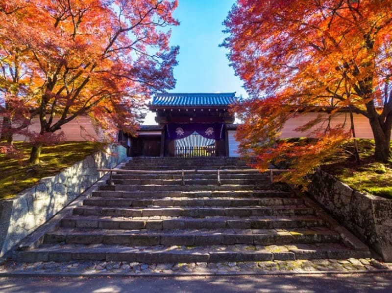 【寺院・神社】曼殊院門跡(竹の内門跡)まで1003ｍ