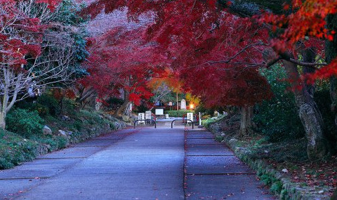 【寺院・神社】鷺森神社まで821ｍ