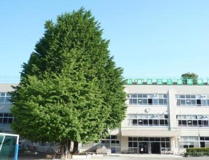 【小学校】杉並区立　三谷小学校まで565ｍ