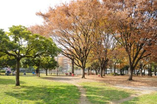 【公園】都立青山公園まで923ｍ