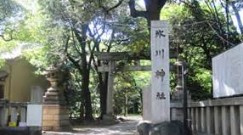 【文化財】赤坂氷川神社まで707ｍ