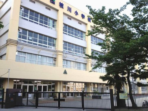 【小学校】江東区立枝川小学校まで215ｍ
