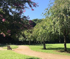 【公園】けやきの森公園まで1602ｍ