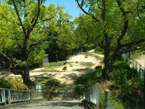 【公園】東大池公園まで910ｍ