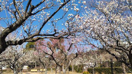 【公園】若宮公園まで467ｍ