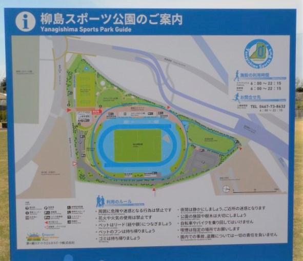 【公園】柳島スポーツ公園　まで651ｍ