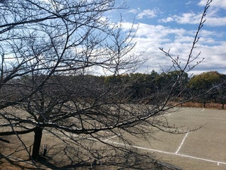 【公園】上依知青少年広場まで1301ｍ