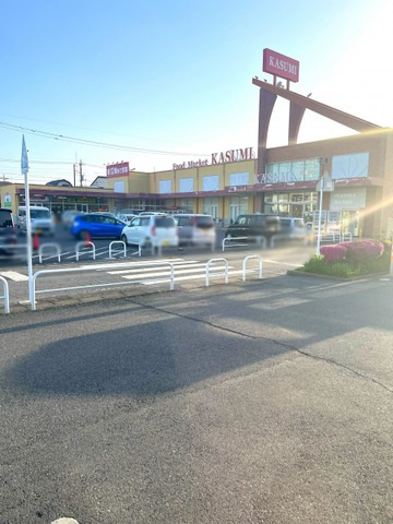 【ショッピングセンター】カスミ館林店まで581ｍ