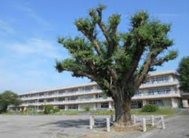 【小学校】桐生市立境野小学校まで1300ｍ