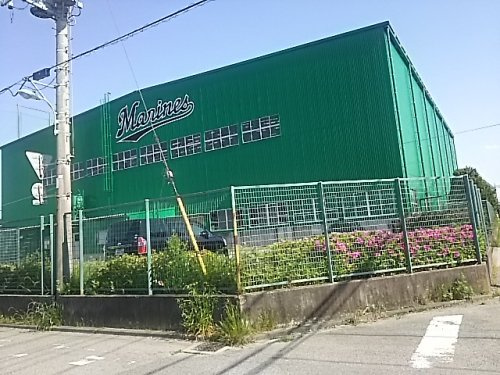 【その他】ロッテ浦和球場まで1200ｍ