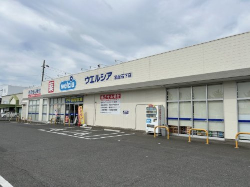 【ドラッグストア】ウェルシア　常総新石下店まで2460ｍ